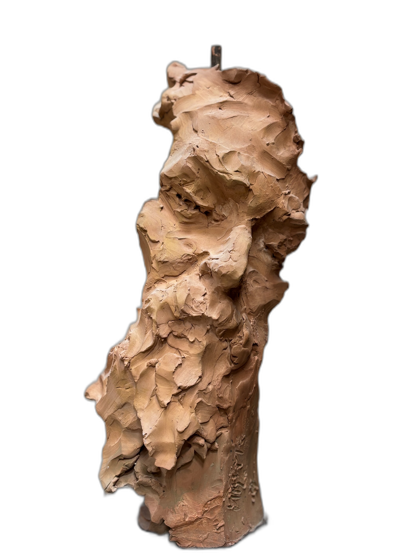 Rodin