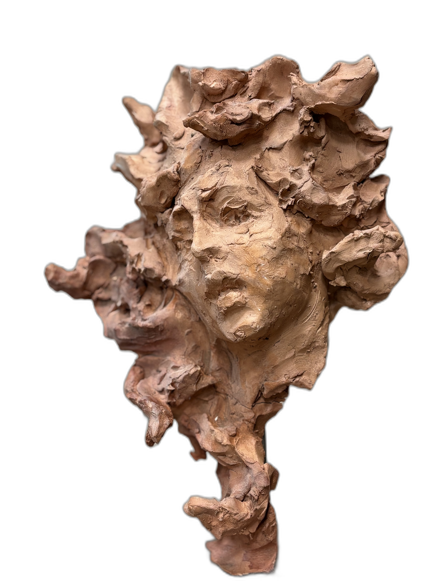 Cabeza de medusa