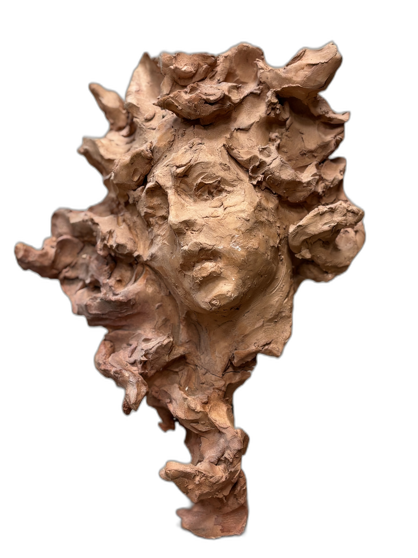 Cabeza de medusa