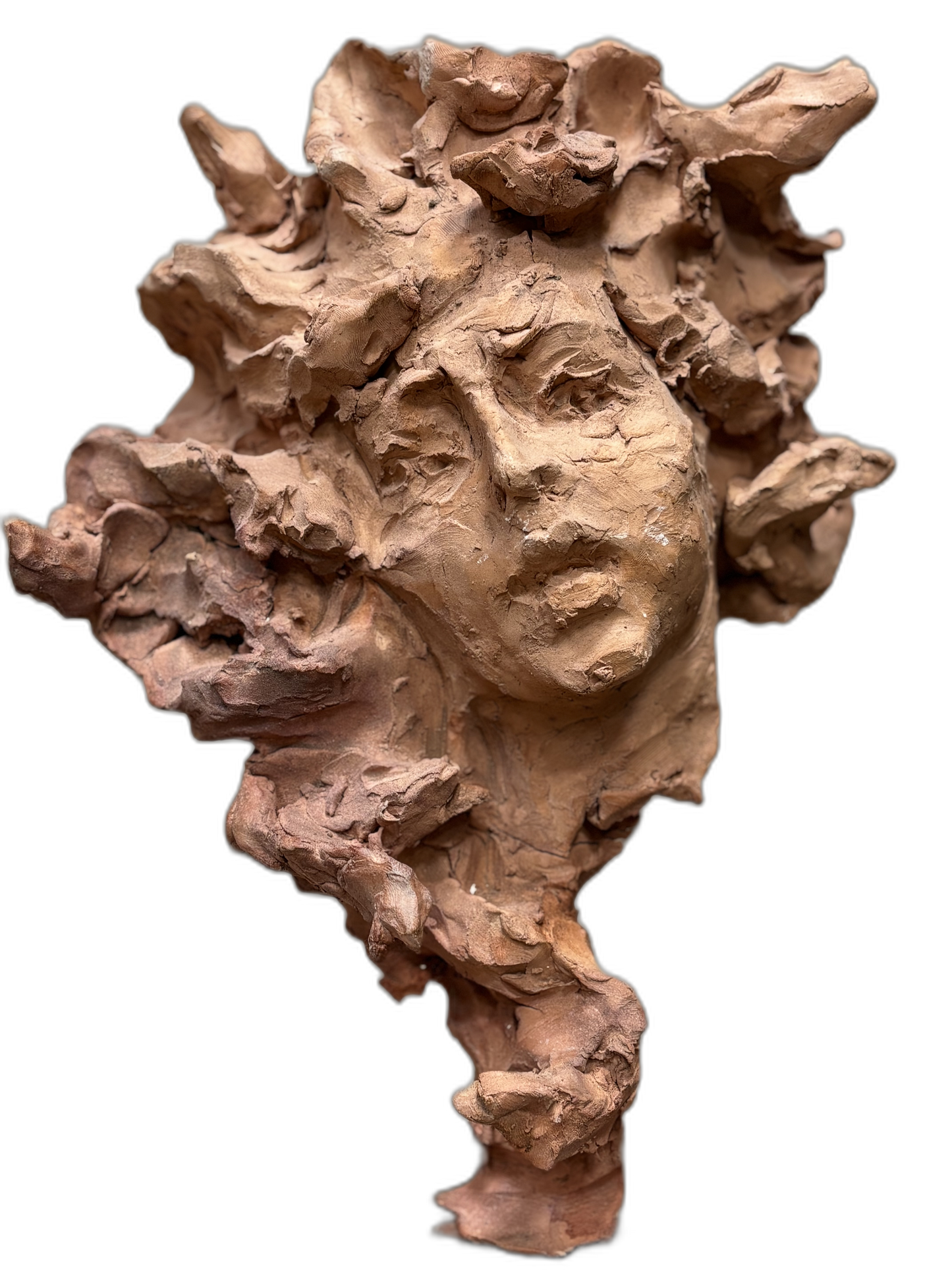 Cabeza de medusa
