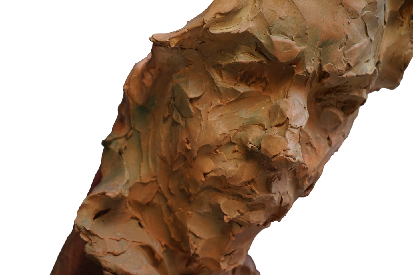 Farrukito