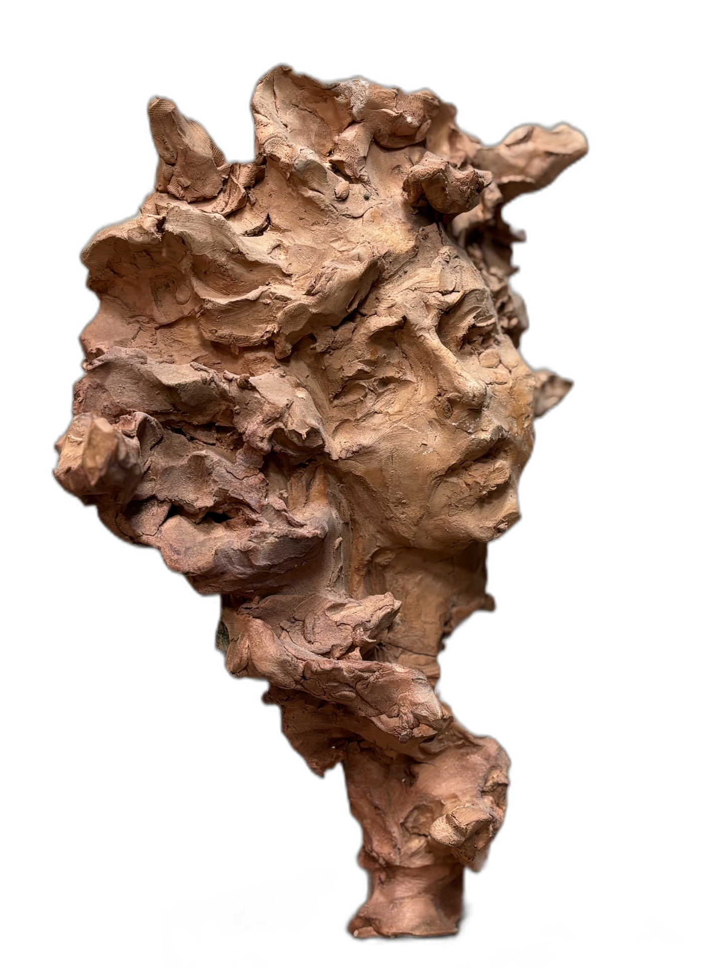 Cabeza de medusa